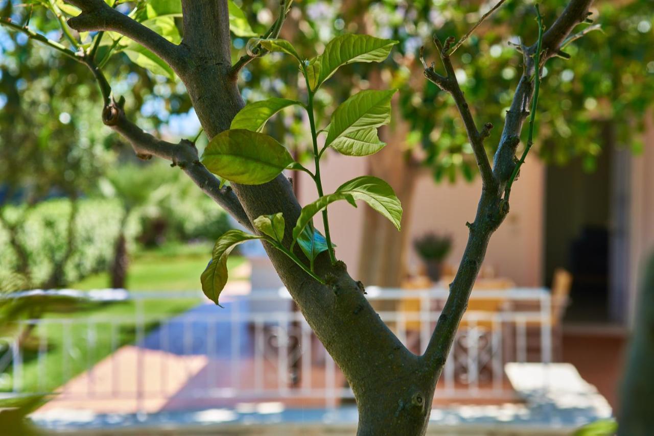 Villa Moma Palio Gerani Exteriör bild